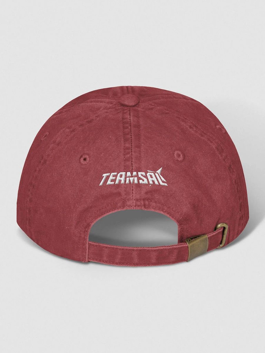 Team Sal Dad Hat product image (20)