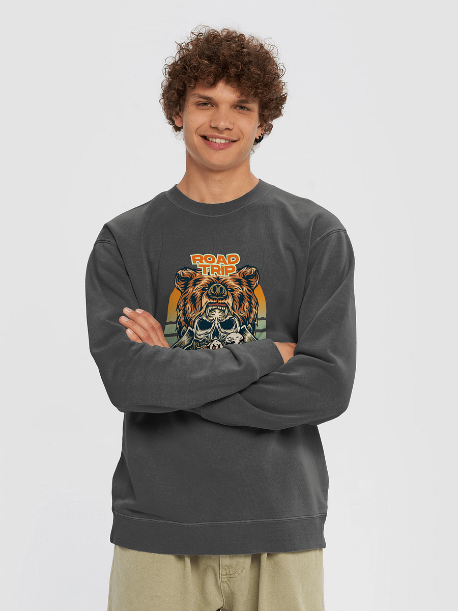Canada 2025 Road Trip Unisex Sweatshirt product image (24)
