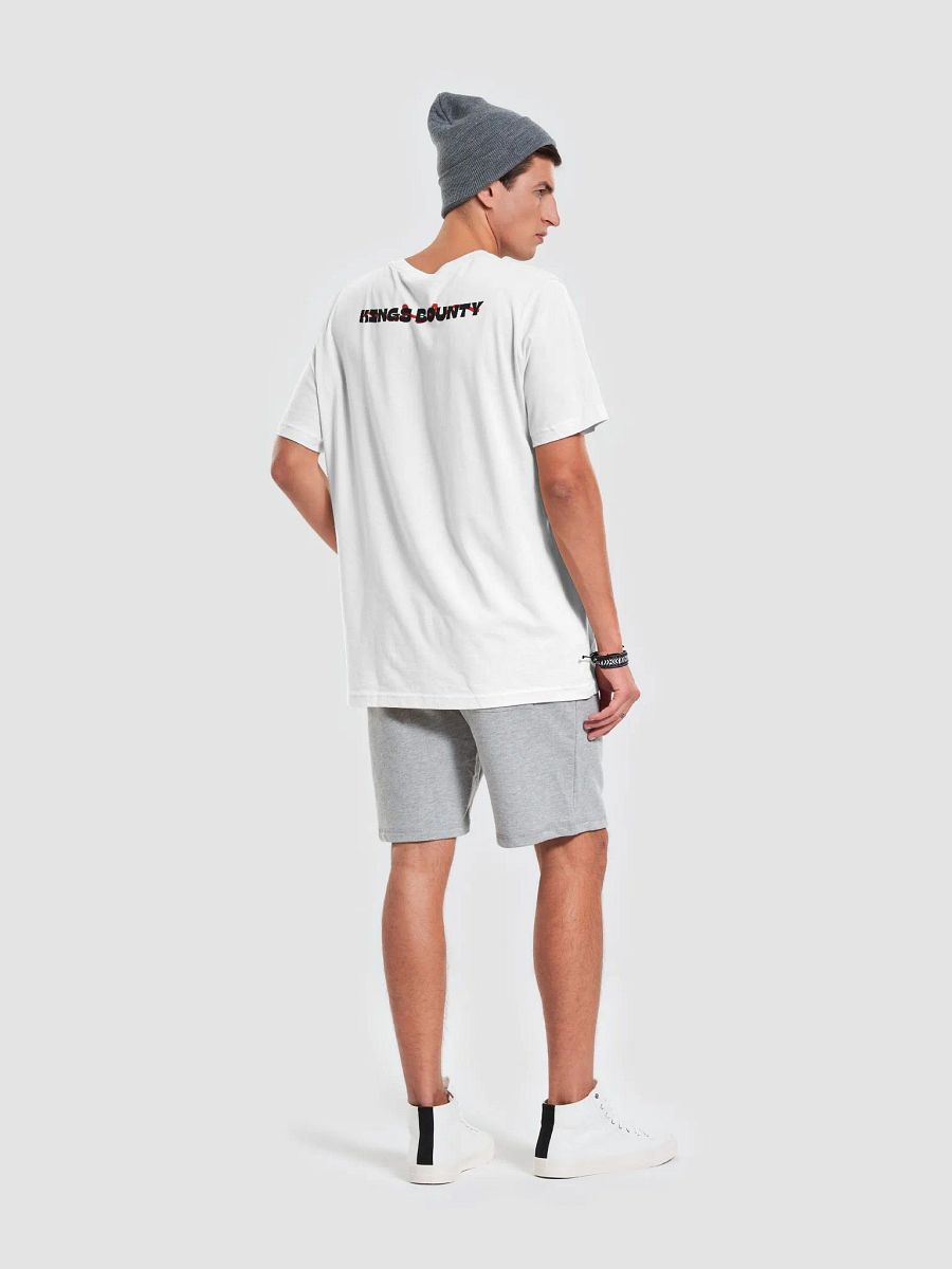 KINGS BOUNTY product image (7)