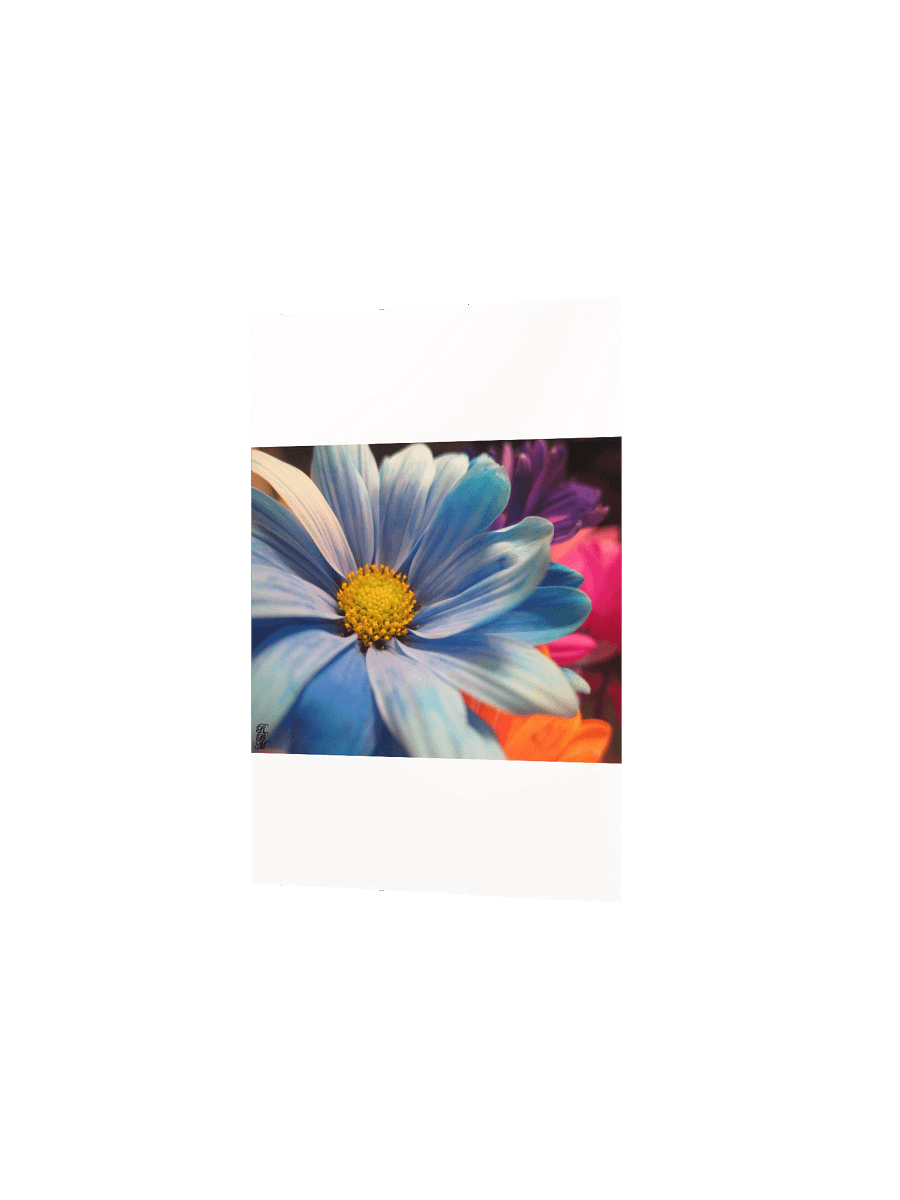 Colorful Flowers product image (12)
