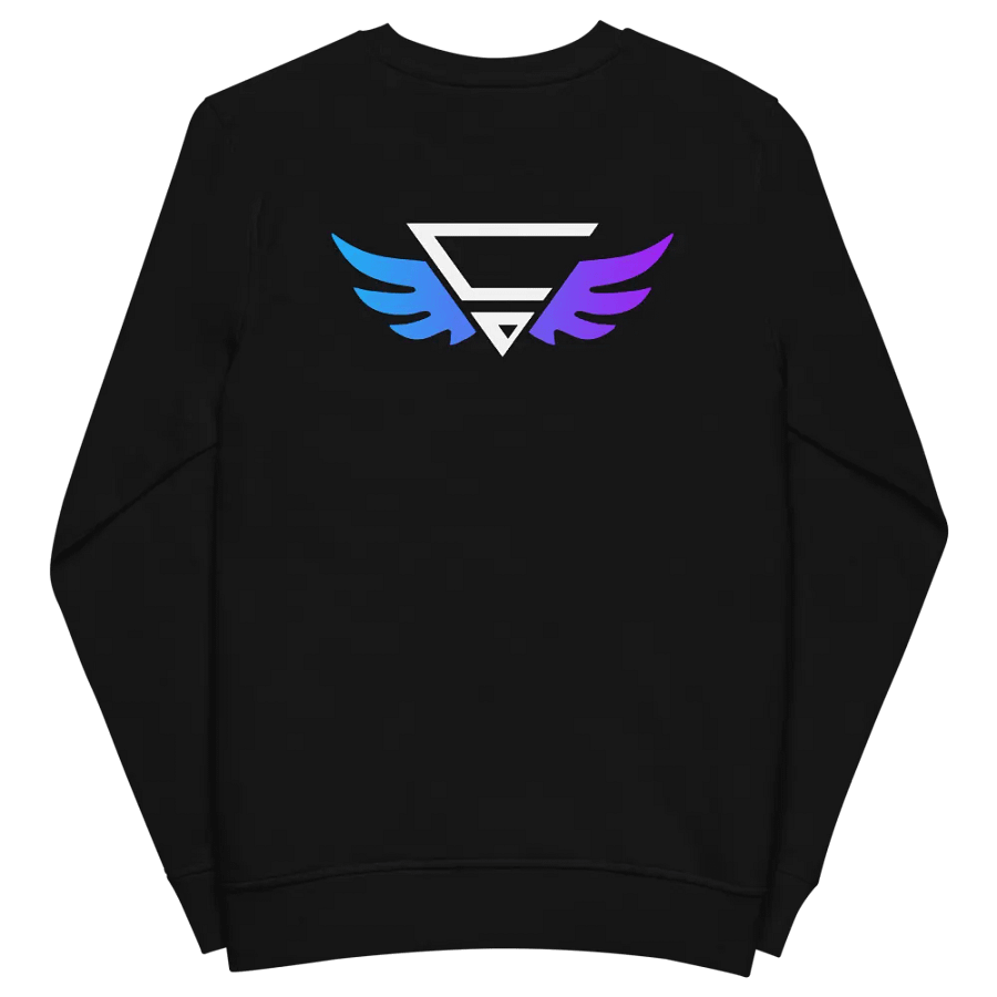 CraytoX Sweater - Black product image (5)