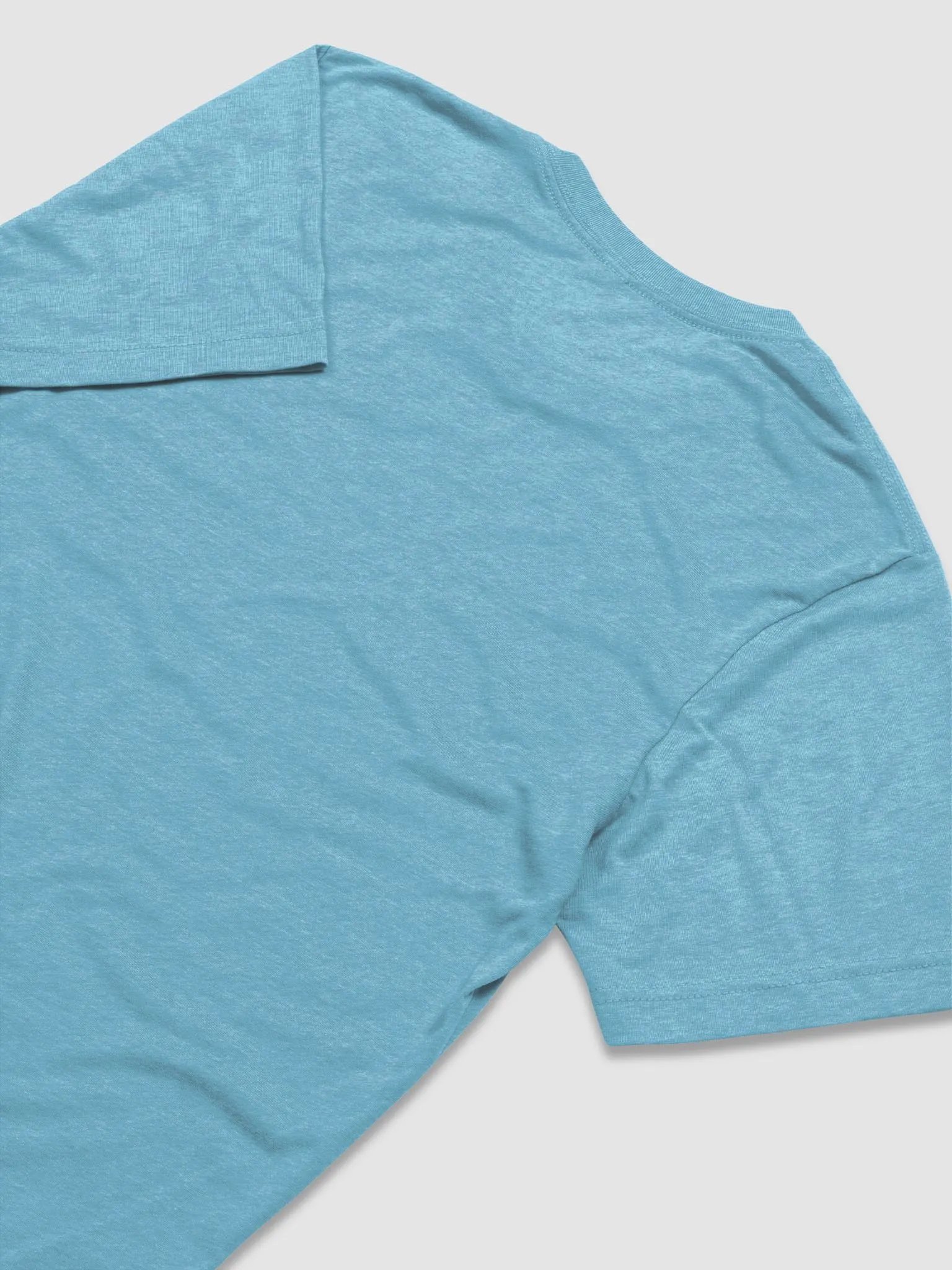 Holy Carp: Bella+Canvas Triblend Short Sleeve T-Shirt product image (4)