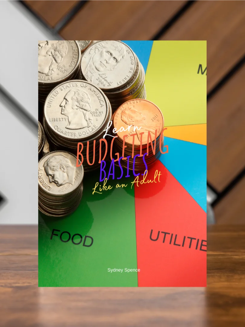 Budgeting for Beginners: Ballin' on a Broke Budget product image (1)