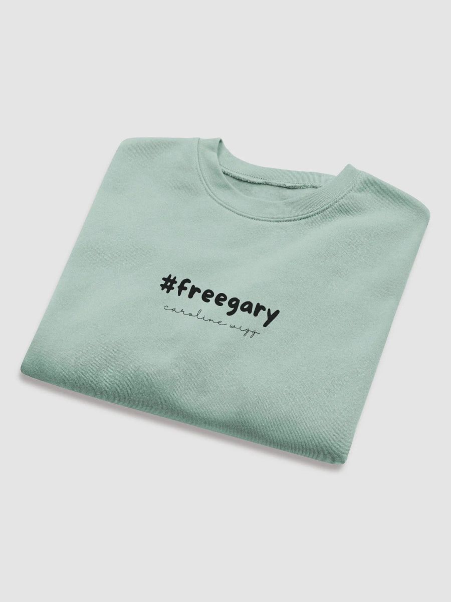 Free Gary Crop Sweatshirt - Light Colours product image (16)