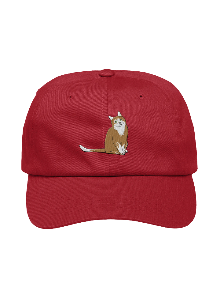 Cute Cat Dad Hat product image (1)