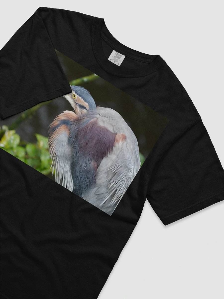 Colorful Plumage Cotton Tee product image (3)