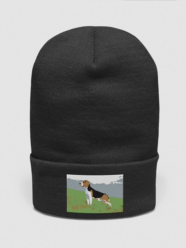 winter beagle sun sweet product image (3)