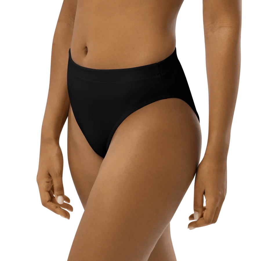 Eclipse Black High-Waisted Bikini Bottom product image (12)
