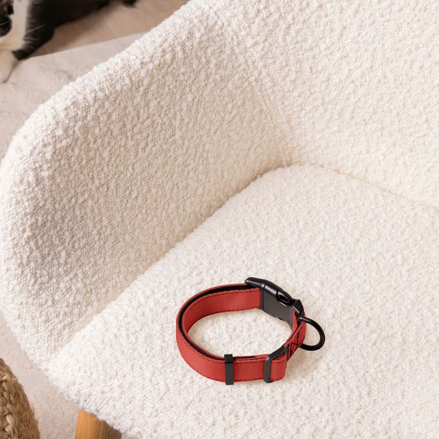 Pet Collar - Red Edition product image (5)