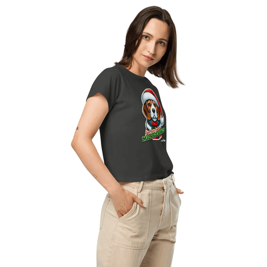 Beagle Santa Paws High-Waisted Tee product image (54)