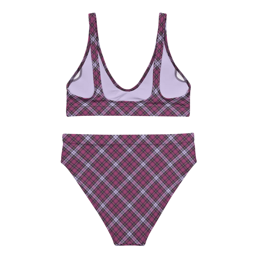 Bright Purple Plaid Bikini product image (4)