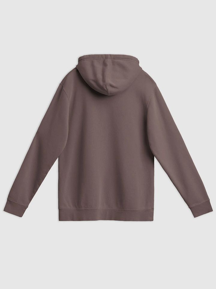 Bubbly and a B*tch (mauve shadow design) printed pigment hoodie product image (4)