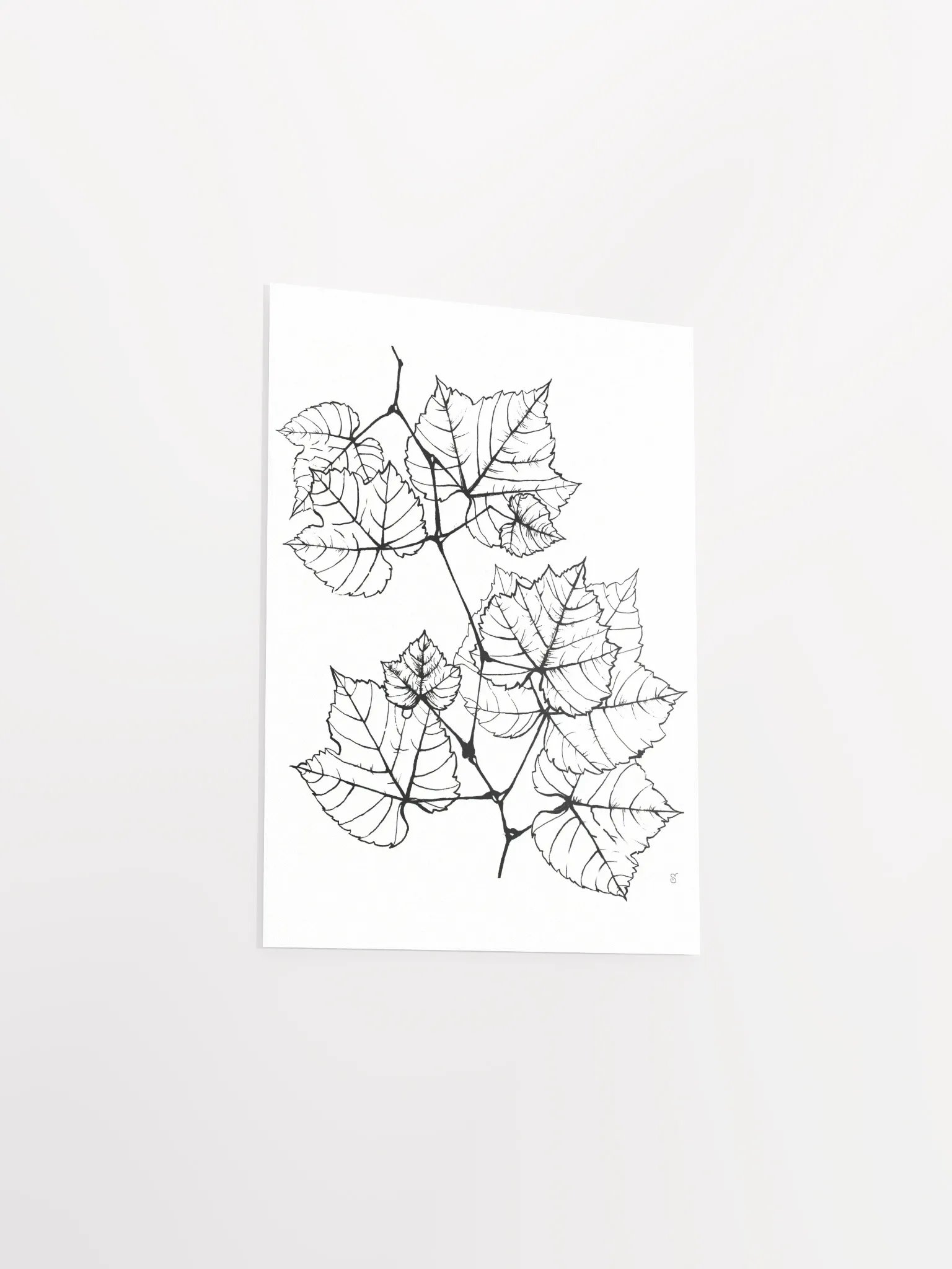 Veined Botanical Branch Matte Poster - Grape Leaves Elegant product image (3)