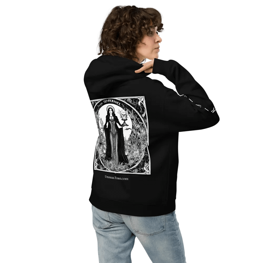 14 - Temperance Oversized Hoodie product image (9)