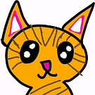 Noah The Cat