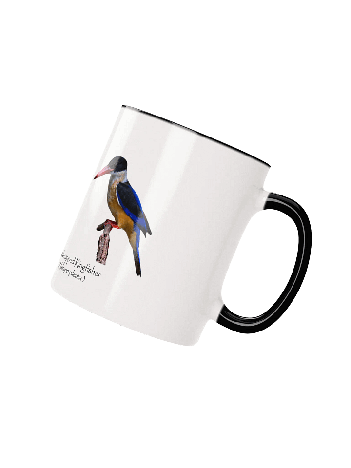 Black-capped Kingfisher mug product image (12)