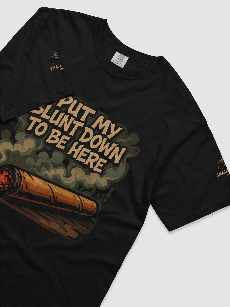 Funny Stoner T-Shirt - "I Put My Blunt Down to Be Here"– Weed Graphic Tee product image (13)