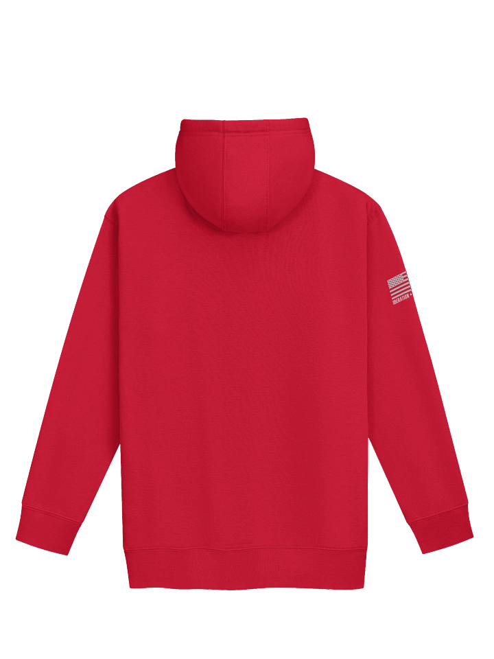 Jesus Is The Reason Hoodie product image (9)