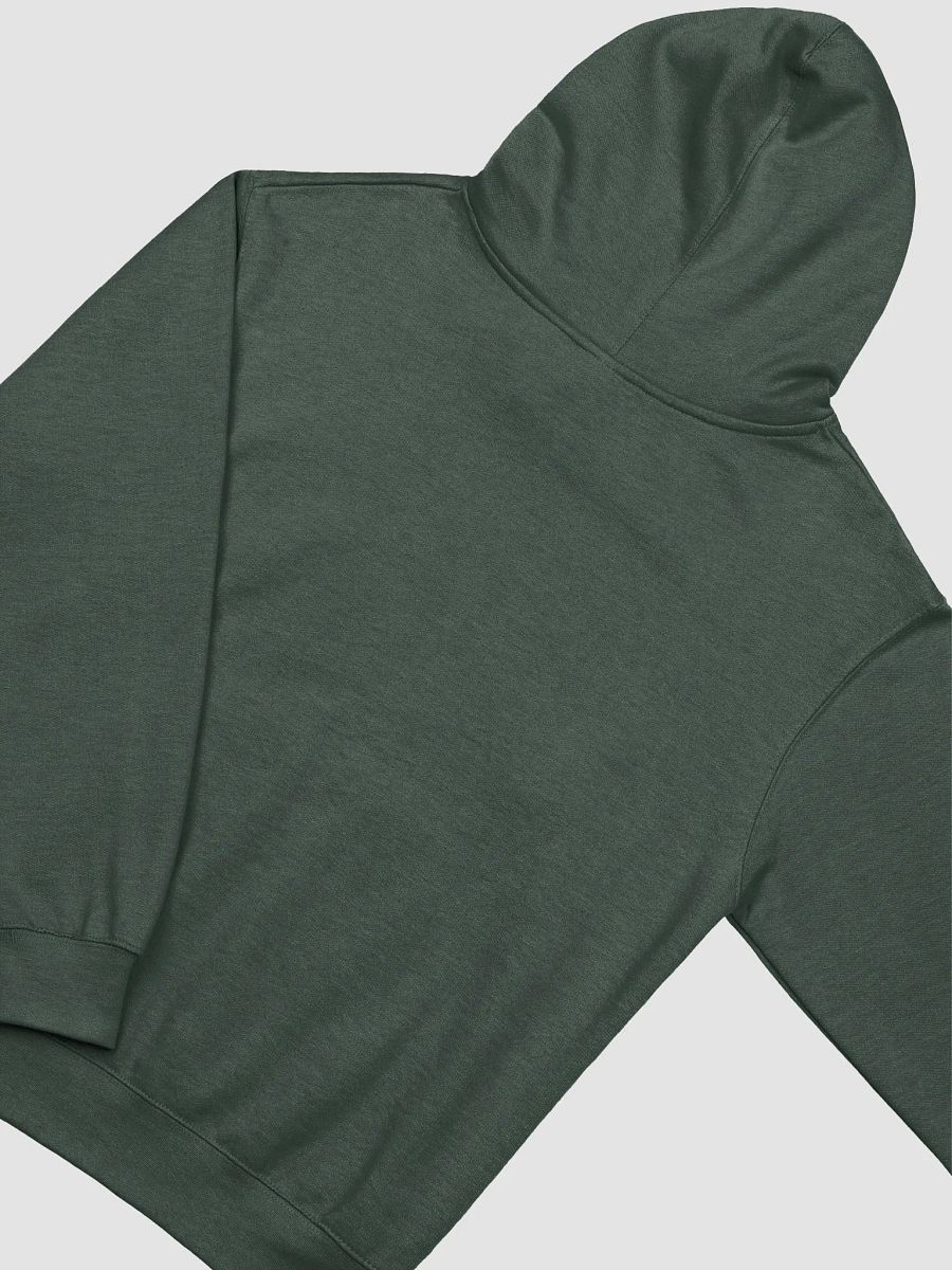 Commented IN ALL CAPS - Premium Hoodie product image (12)