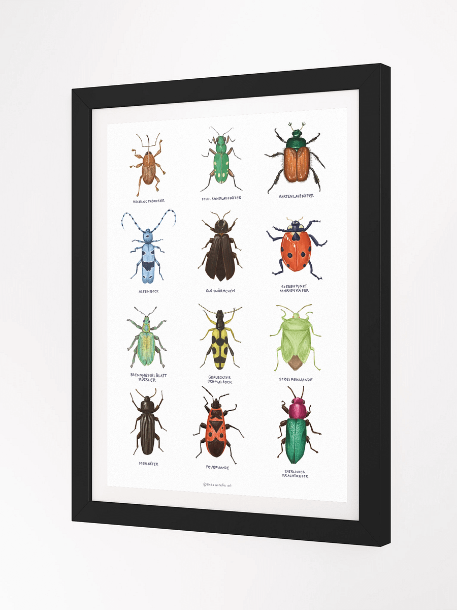 Framed Insects product image (2)