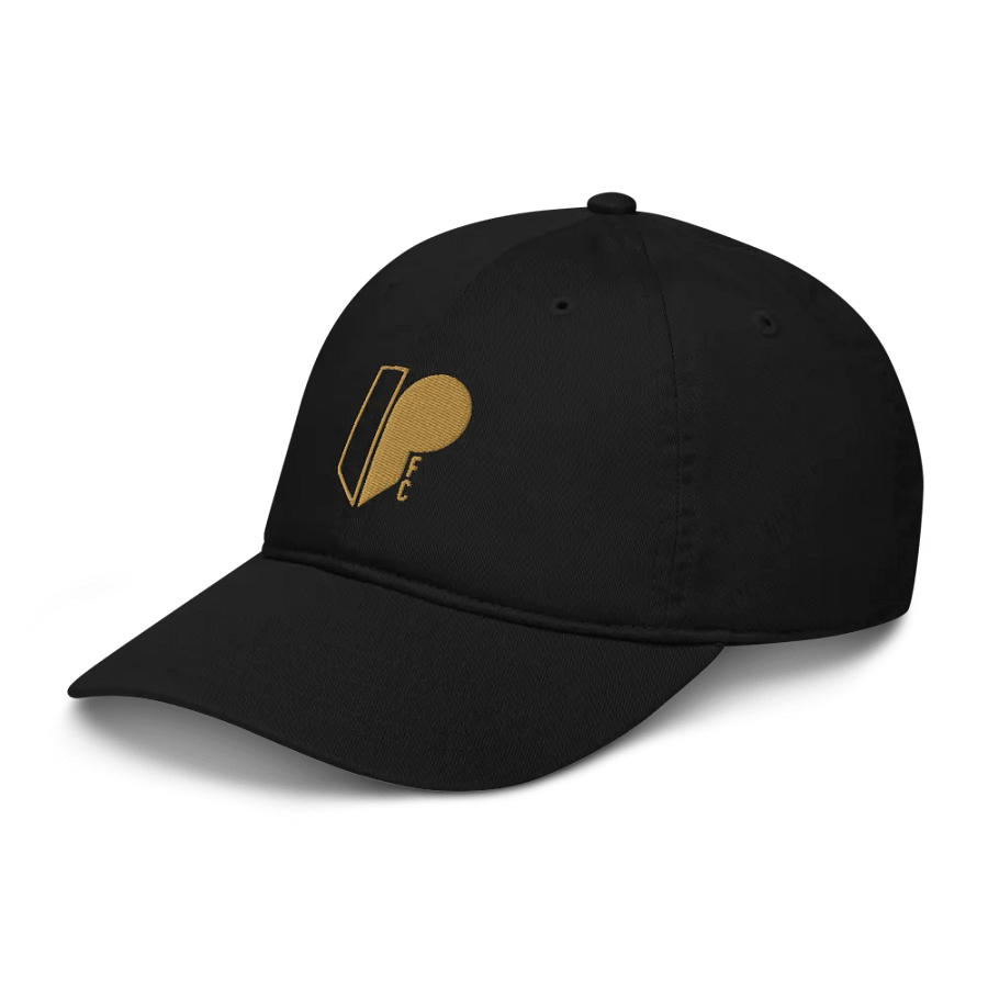 Team Hat product image (3)