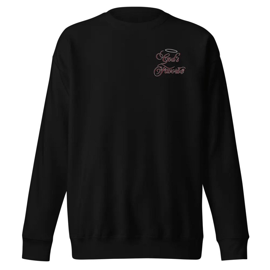 Embroidered Sweatshirt (no wings) - God's Favorite product image (1)