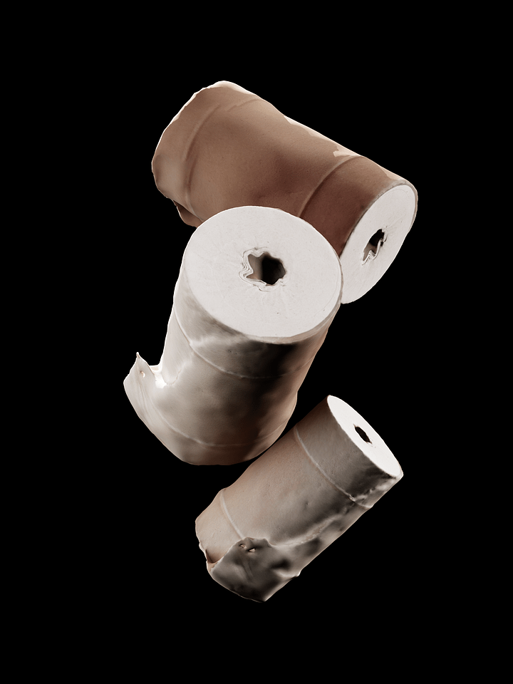 Toilet Paper 3D Scan product image (1)