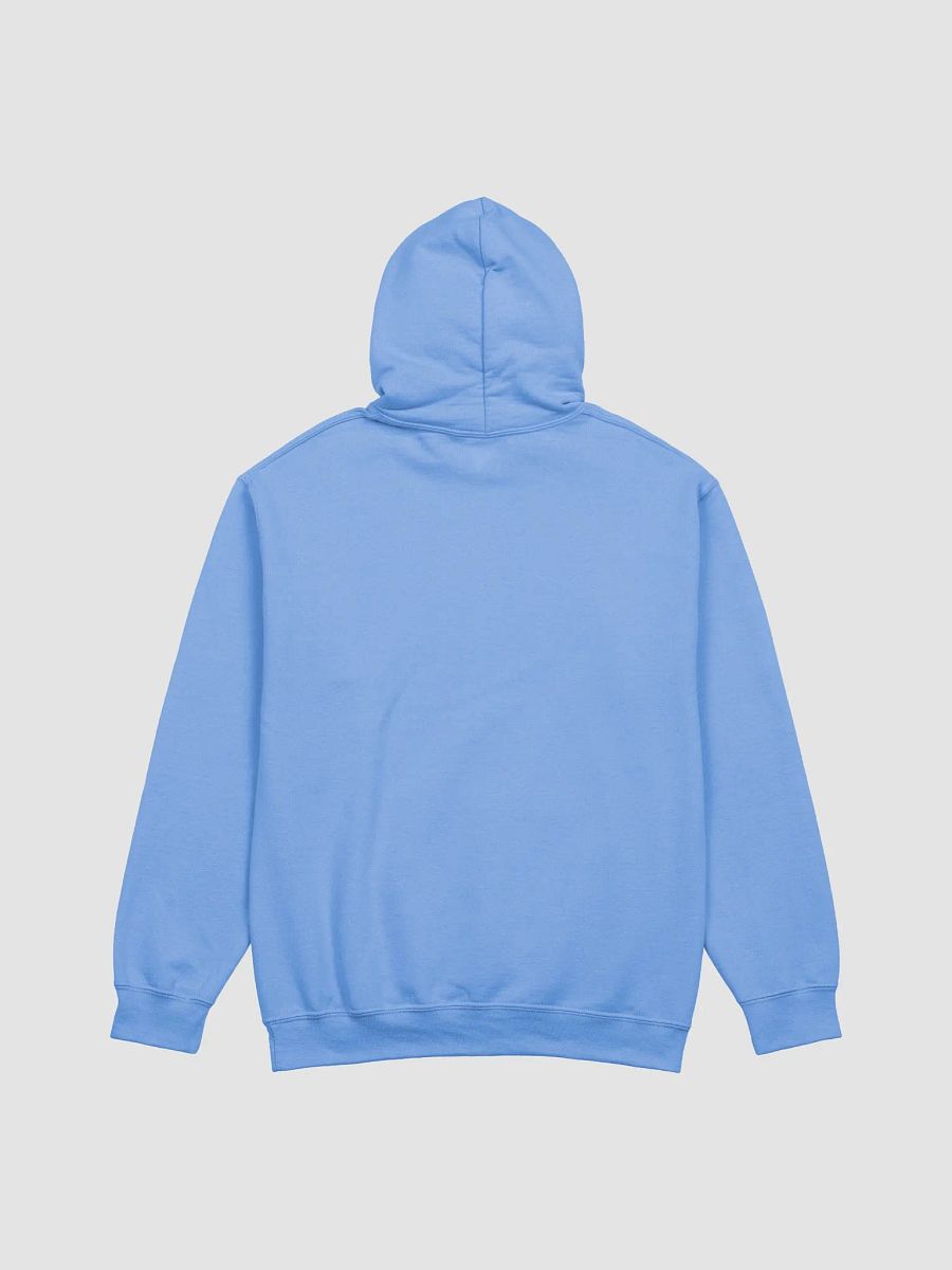 Shoulda Beens Horny Hoodie product image (2)