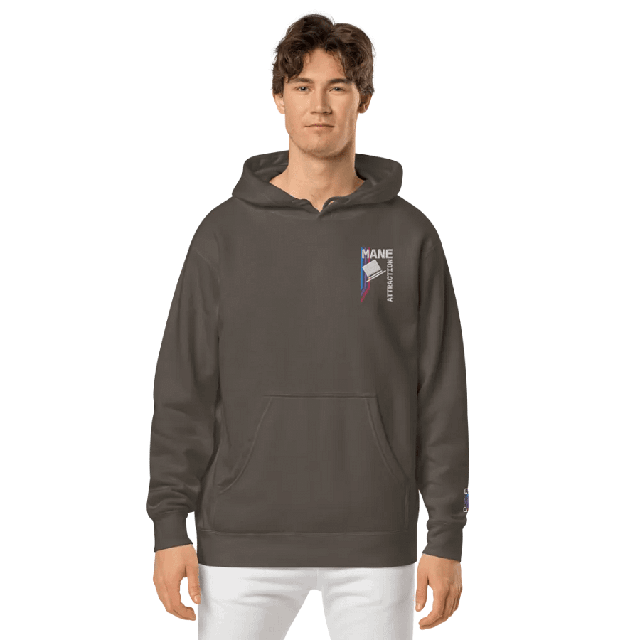 MA Hat Embroidered Hoodie product image (3)