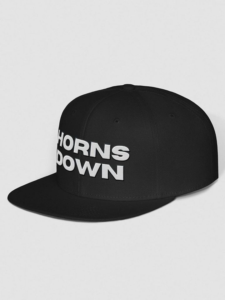 Horns Down LETTERS Flat Bill Hat product image (2)