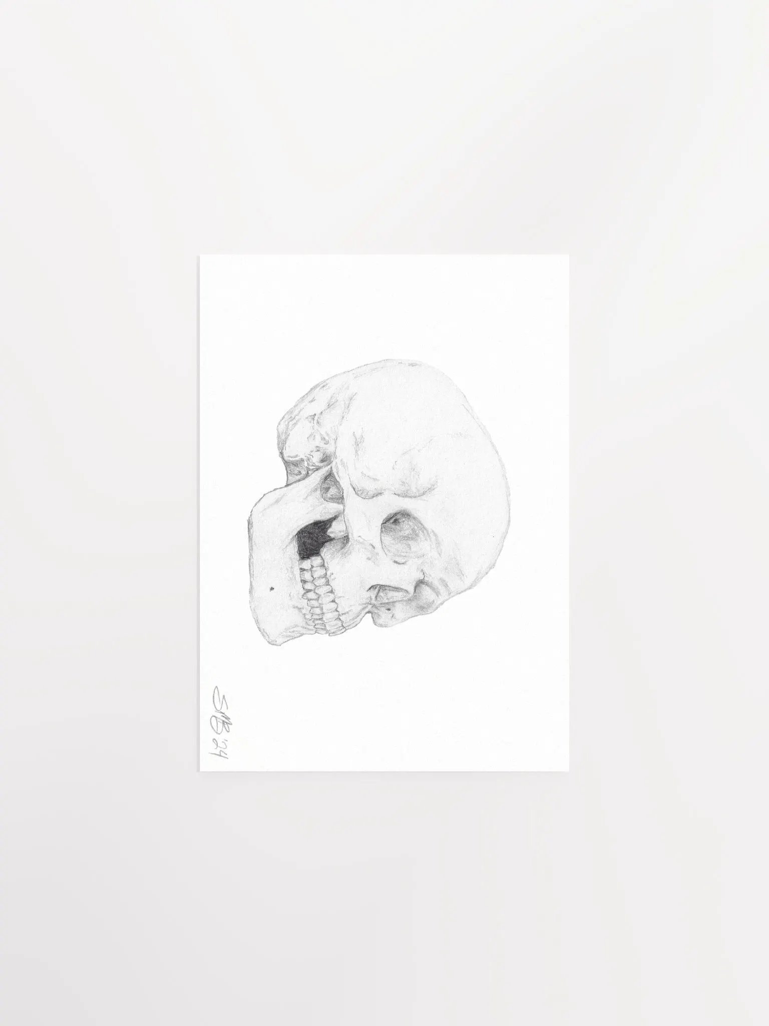 Skull Wall Art product image (1)