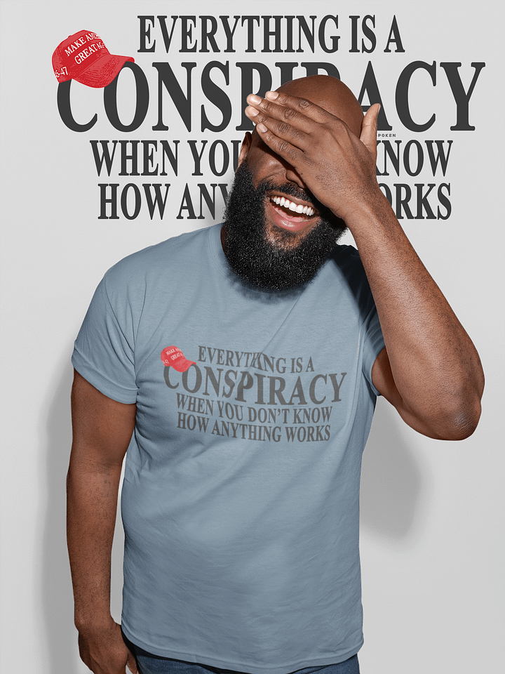 Everything is a Conspiracy T-Shirt - Being Liberal product image (25)