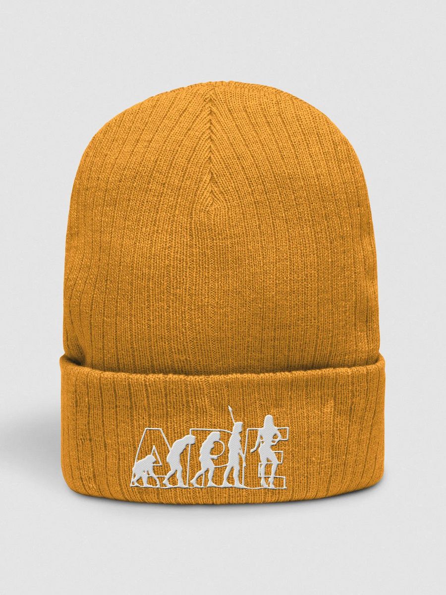 APEvolution Ribbed Beanie [Women's] product image (3)