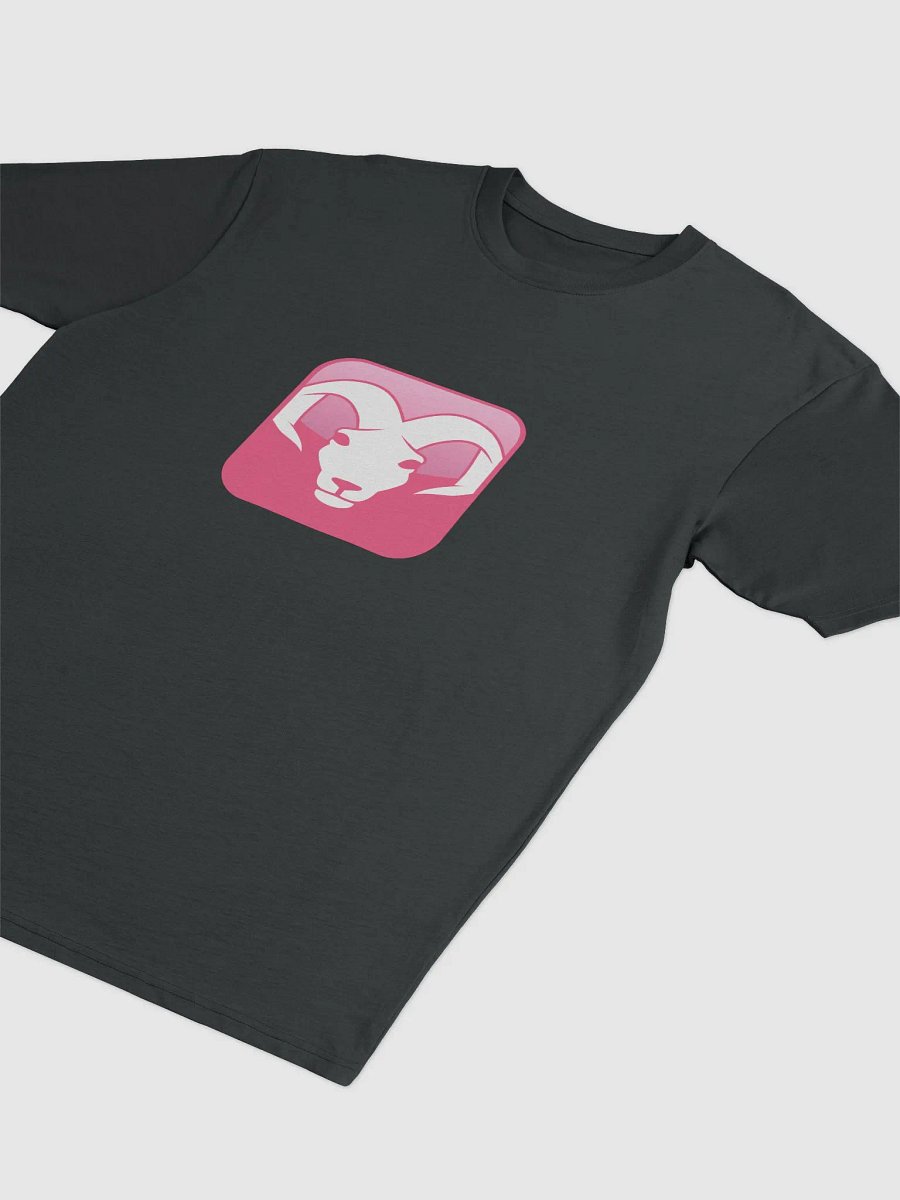 ARIES T-shirt product image (20)