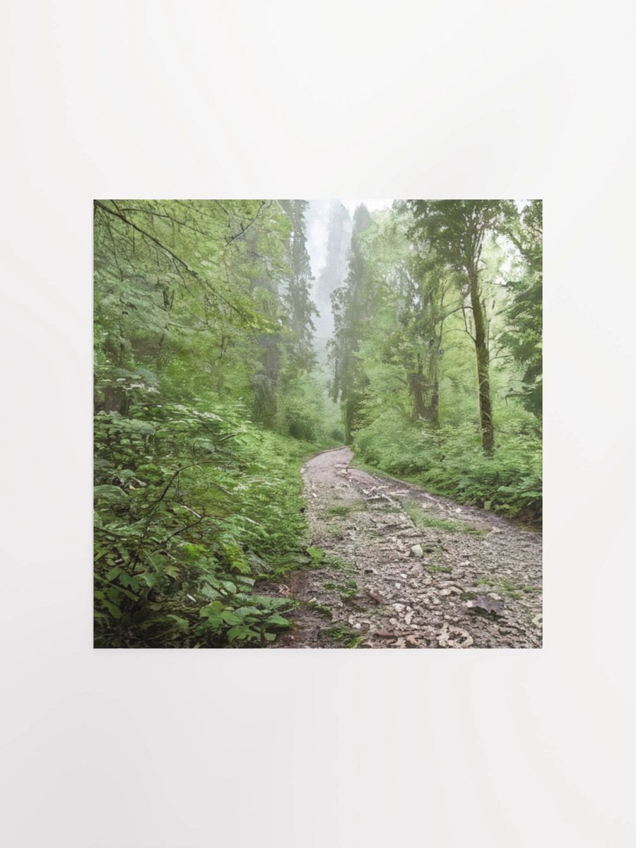 Enchanted Forest Path Poster product image (2)