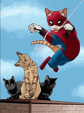 Cat Book Bundle product image (5)