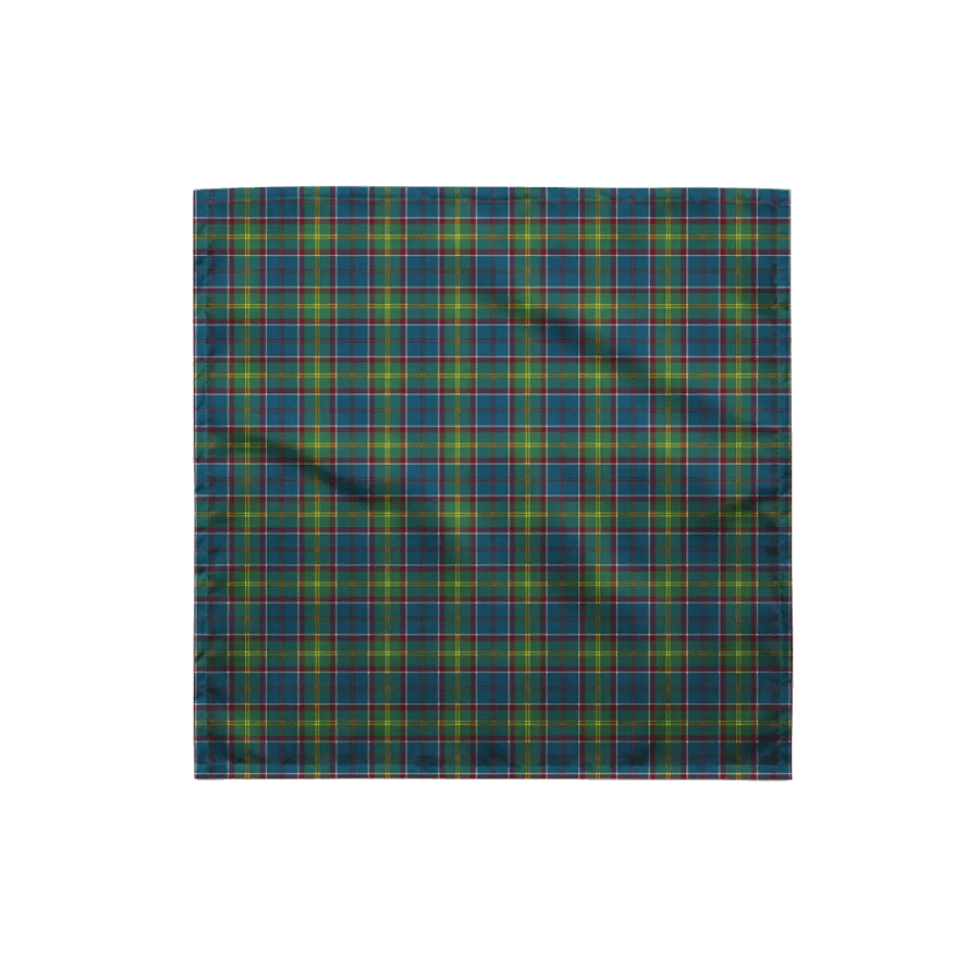 Ayrshire Tartan Bandana product image (4)