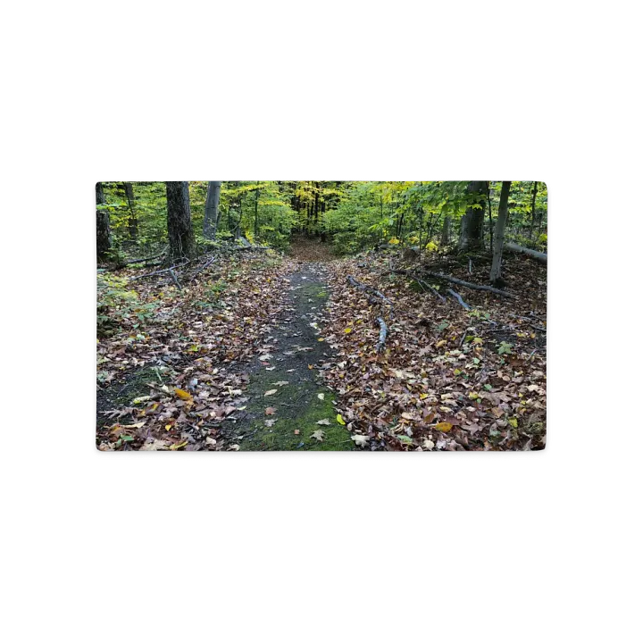 Fall Trail Pillow product image (2)