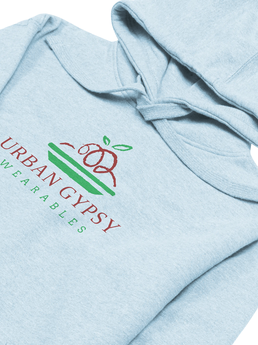 Urban Gypsy Apple on Plate Unisex Premium Hoodie product image (3)
