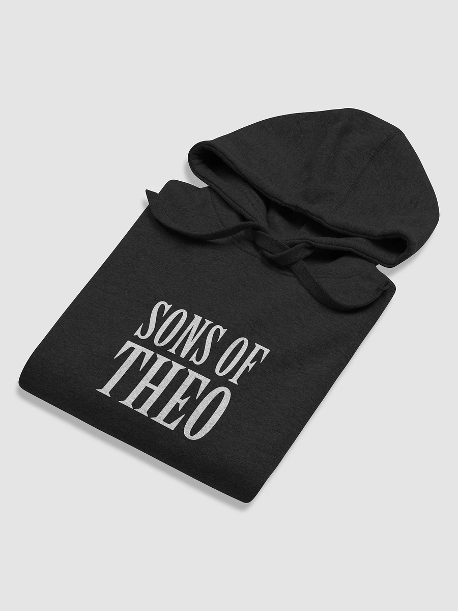 Sons Of Theo Hoodie product image (5)