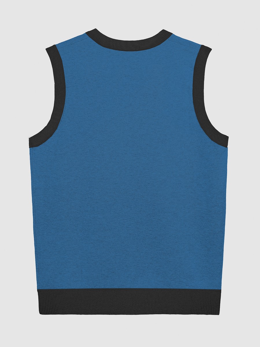 Drip Rain V-Neck Vest product image (6)
