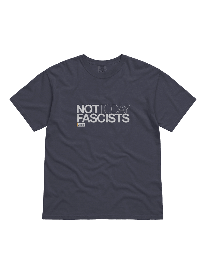 Not Today Fascist T Shirt product image (1)