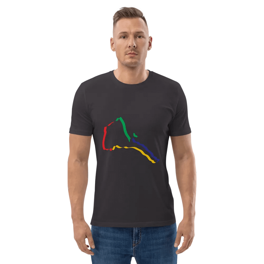 Chromatic Lines Organic Cotton T-Shirt product image (136)
