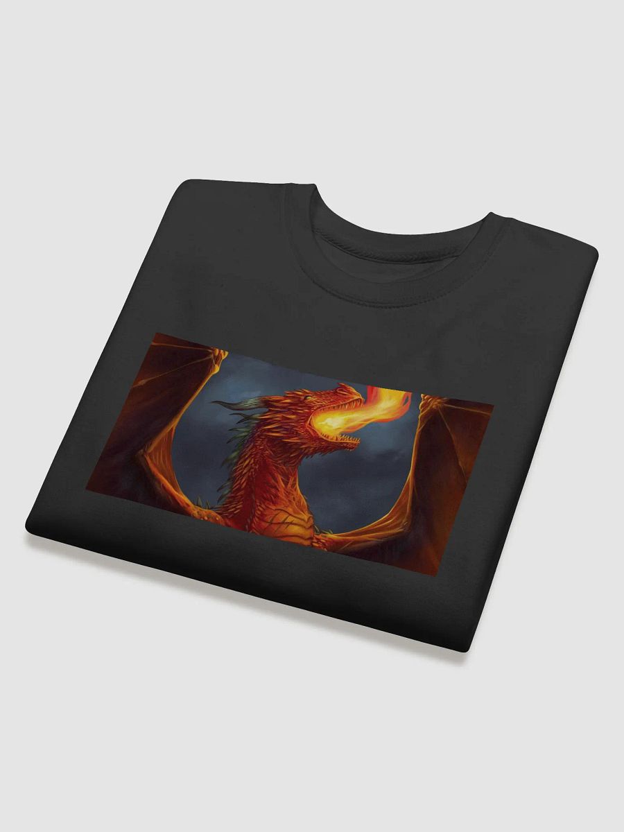 Drachen Pulli product image (4)