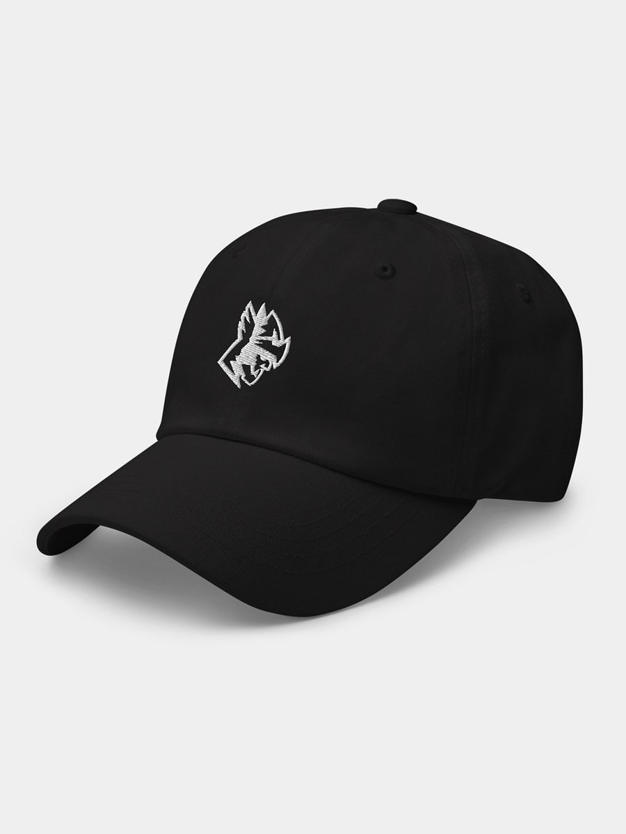 BarbarianBody Embroidered Black Dad Hat (48-hour Early Bird Discount) product image (4)