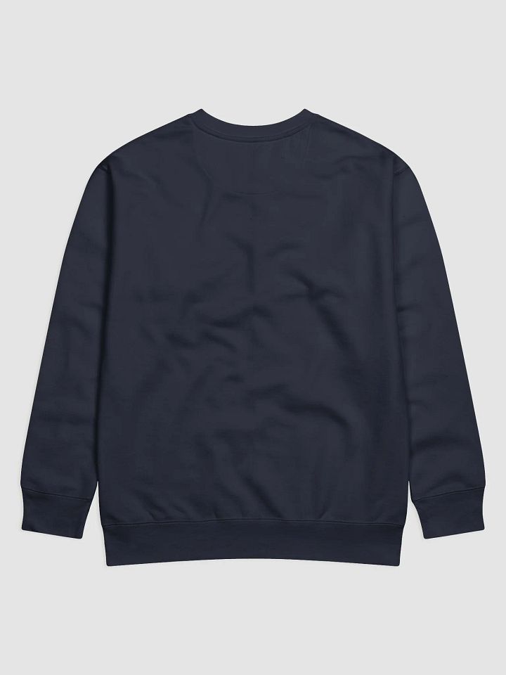 The AU Sweatshirt (Silver) product image (6)