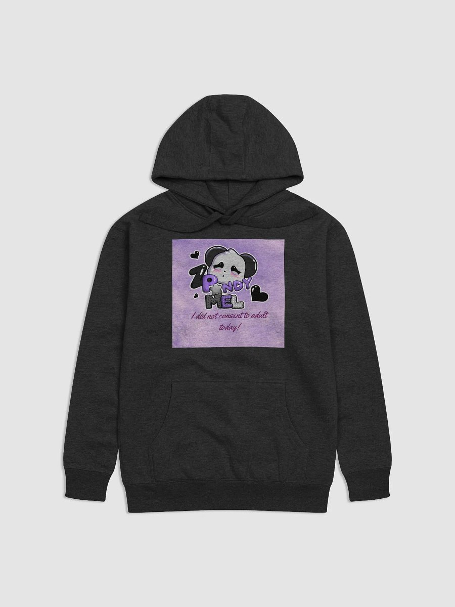 Hoodie product image (1)
