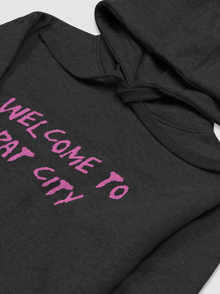 WTRC HOODIE product image (2)
