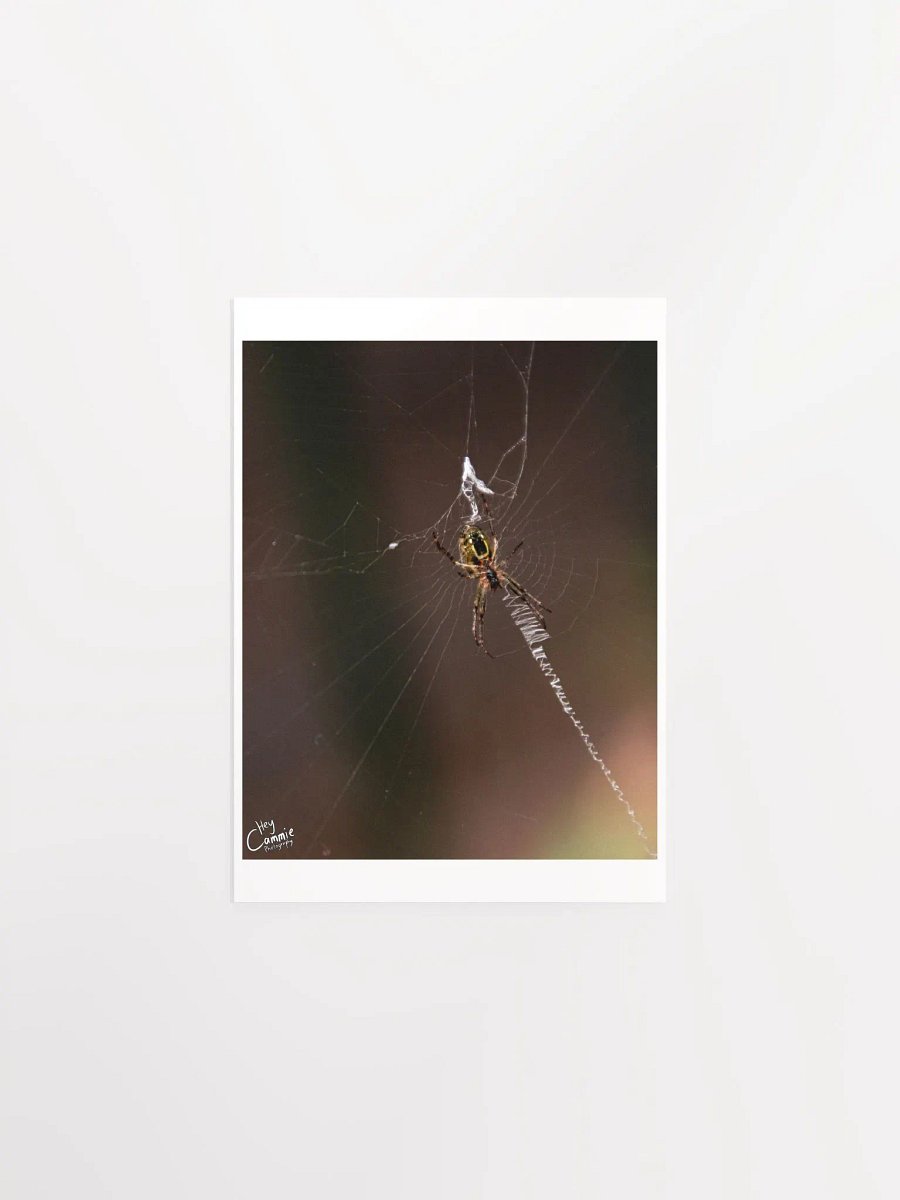 Webs - Print product image (1)