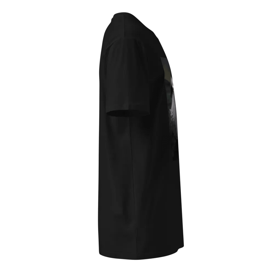 Aibell the Banshee product image (4)